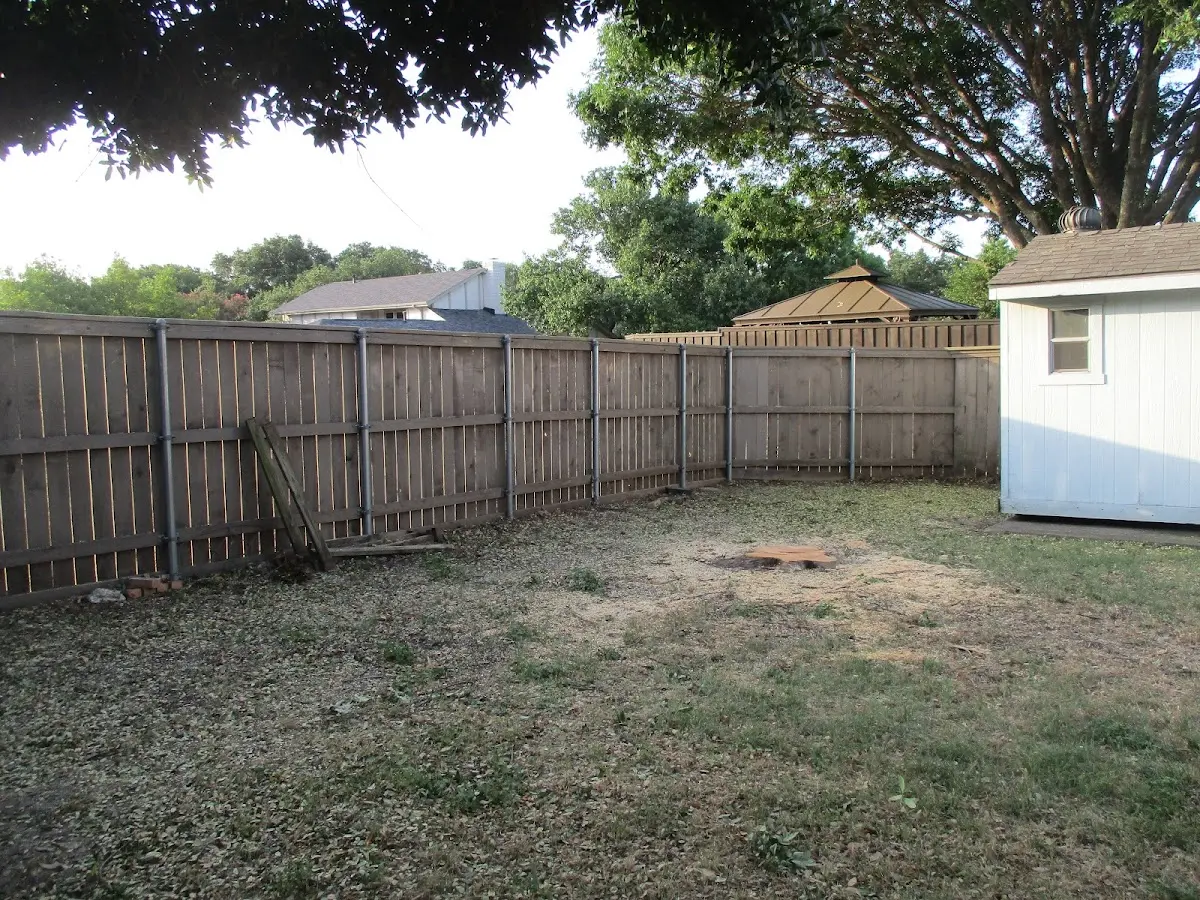 Cleared yard after professional tree removal in Exeter